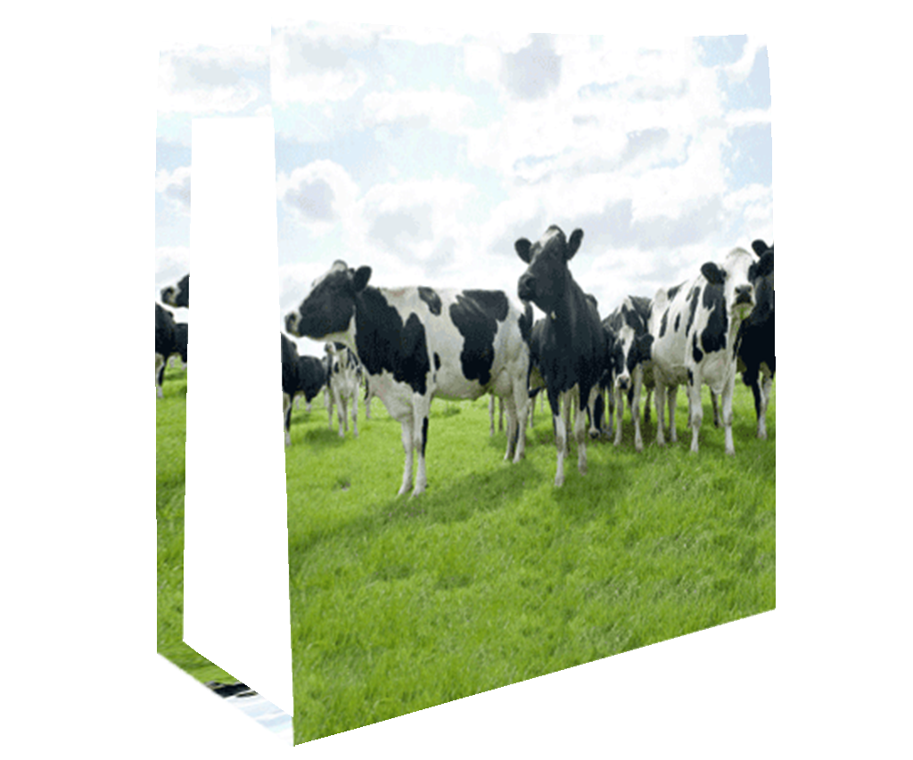 Visual Products Configurator option image